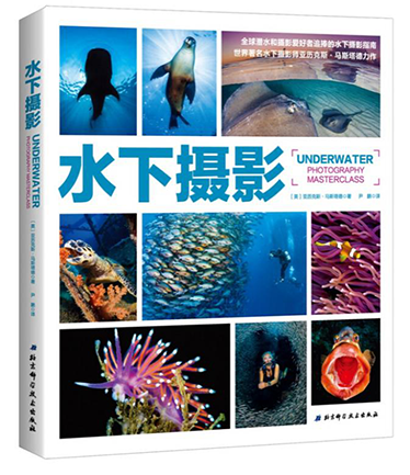 图片13.png